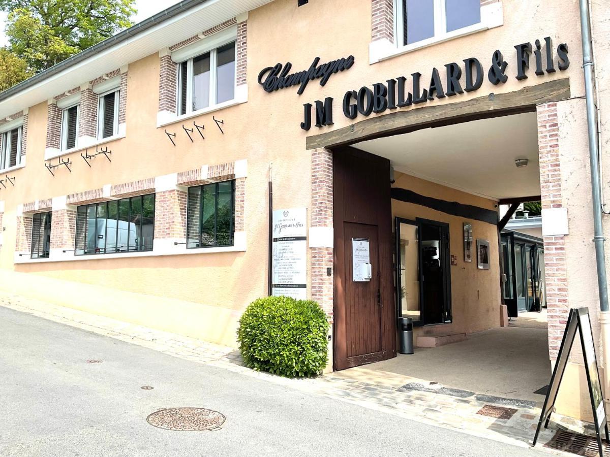 Les Loges Du Theatre Degustation Champagne Offerte Jacuzzi Sauna Jeux Velos Maison Prive 150M2 Historique 14Pers Max Emplacement Exceptionnel Et Chic, 200M De L'Avenue De Champagne, Gare, Musee, Jardins, Restaurations, Toutes Commodites Épernay Eksteriør bilde