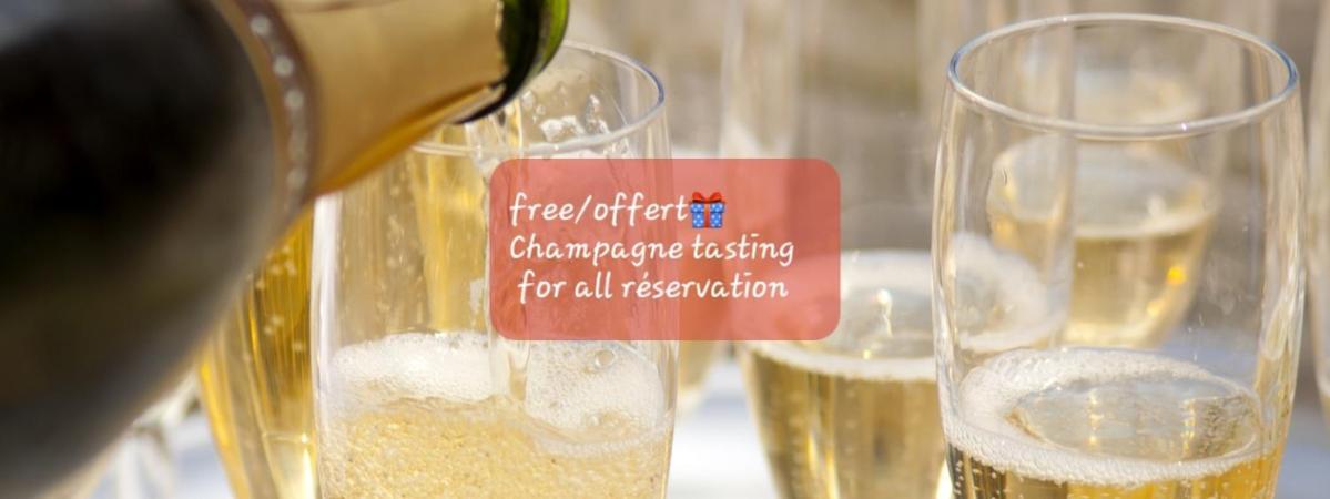 Les Loges Du Theatre Degustation Champagne Offerte Jacuzzi Sauna Jeux Velos Maison Prive 150M2 Historique 14Pers Max Emplacement Exceptionnel Et Chic, 200M De L'Avenue De Champagne, Gare, Musee, Jardins, Restaurations, Toutes Commodites Épernay Eksteriør bilde
