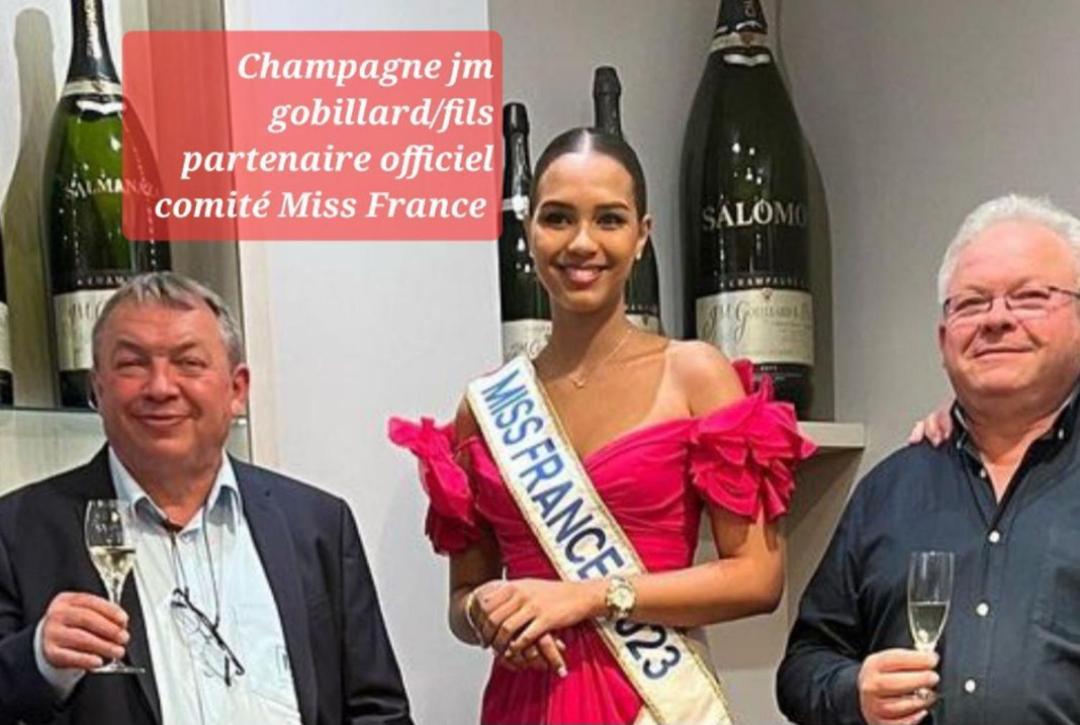Les Loges Du Theatre Degustation Champagne Offerte Jacuzzi Sauna Jeux Velos Maison Prive 150M2 Historique 14Pers Max Emplacement Exceptionnel Et Chic, 200M De L'Avenue De Champagne, Gare, Musee, Jardins, Restaurations, Toutes Commodites Épernay Eksteriør bilde