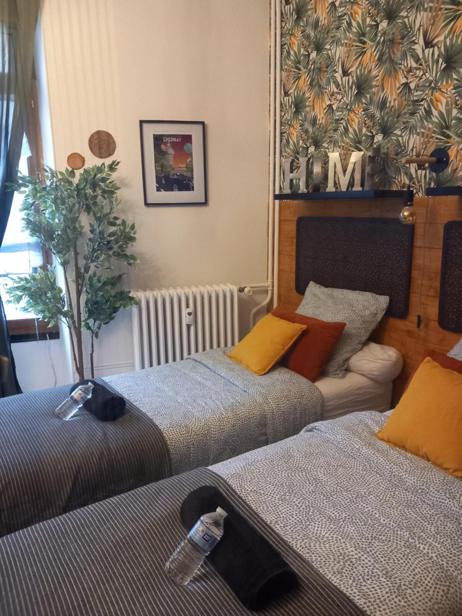 Les Loges Du Theatre Degustation Champagne Offerte Jacuzzi Sauna Jeux Velos Maison Prive 150M2 Historique 14Pers Max Emplacement Exceptionnel Et Chic, 200M De L'Avenue De Champagne, Gare, Musee, Jardins, Restaurations, Toutes Commodites Épernay Eksteriør bilde